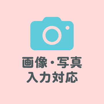 画像入力のイメージ